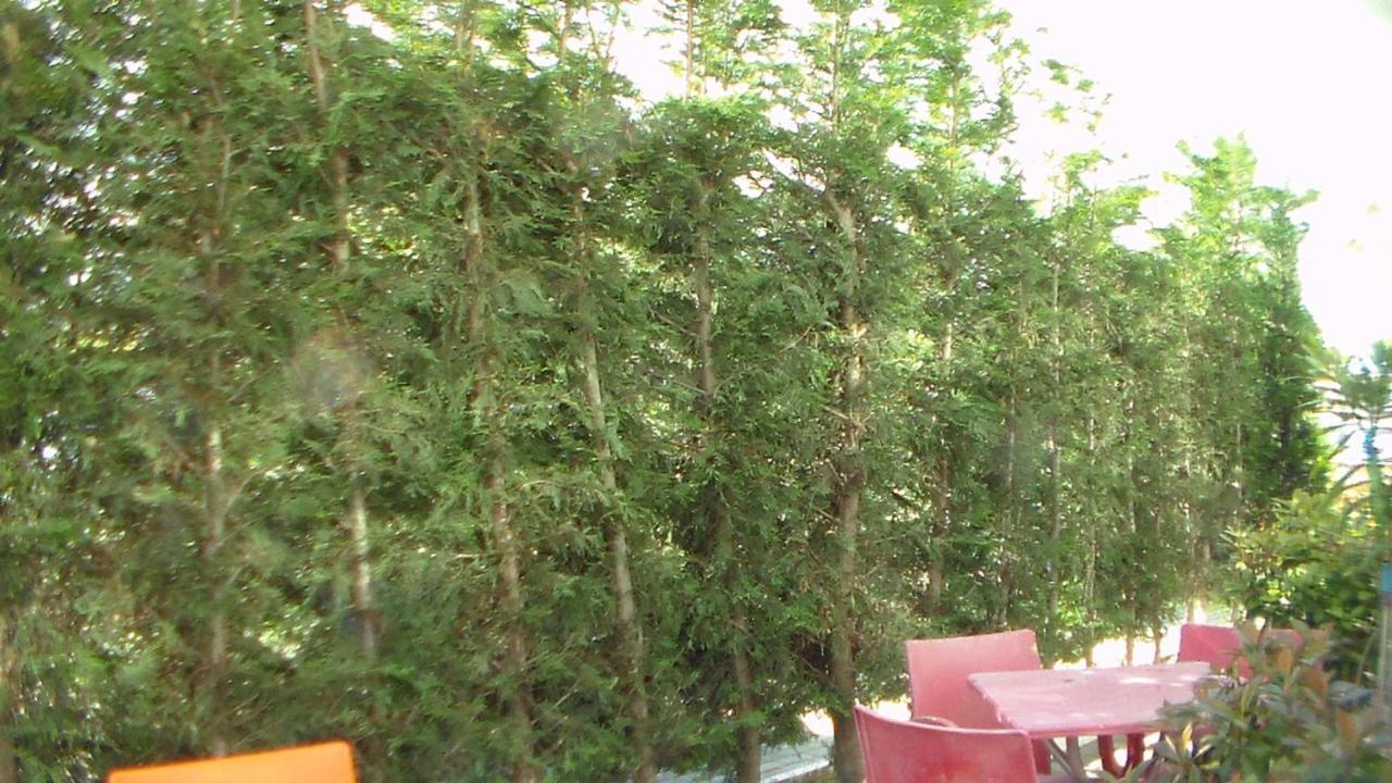 Shkoder Hotel Temali Ngoại thất bức ảnh